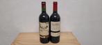2x Côtes de Blaye, Castillon (5€/fles), Ophalen, Frankrijk, Zo goed als nieuw, Rode wijn