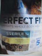 kattenbrokken, Enlèvement ou Envoi, Chat