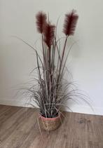 Kunstplant Pluimgras – 120 CM – Sfeervol & Onderhoudsvrij, Ophalen, Zo goed als nieuw, Binnen