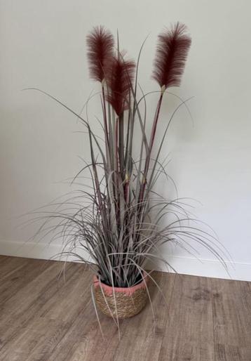 Kunstplant Pluimgras – 120 CM – Sfeervol & Onderhoudsvrij beschikbaar voor biedingen