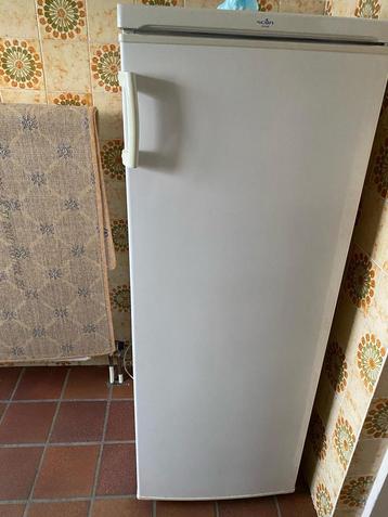 Scan Cool vriezer, Elektronische apparatuur, Vriezers en Diepvrieskisten, Ophalen, Gebruikt, 160 cm of meer, Energieklasse A of zuiniger
