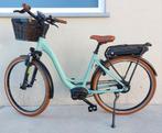 Elektrische damesfiets Riese&muller*Swing4 vario 500Wh*280km, Ophalen, Zo goed als nieuw