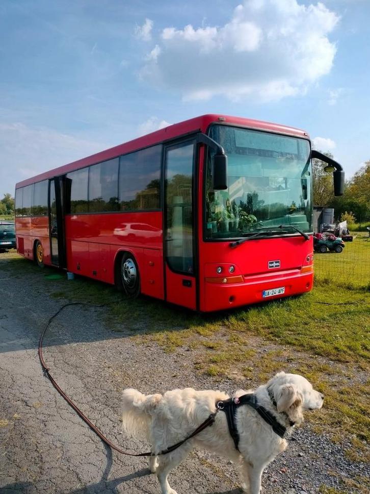 Omgebouwde bus-vasp-camper, Caravans en Kamperen, Mobilhomes, Automaat, Douche, Extincteur, Ophalen