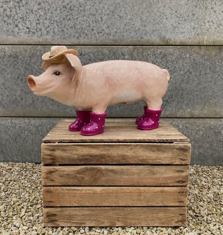 Beeld varken met laarzen  H33 cm x L58 cm, Verzamelen, Beelden en Beeldjes, Nieuw, Overige typen, Ophalen