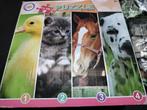 Puzzeldoos 4x100st, Enlèvement, Plus de 50 pièces, Utilisé, 4 à 6 ans