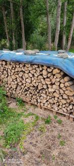 Bois de chauffage sec, 3 à 6 m³, Autres essences de bois, Enlèvement ou Envoi, Bûches