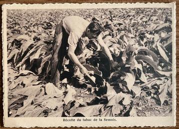 Carte postale ancienne TABAC SEMOIS, Enlèvement ou Envoi, Comme neuf, Autres types