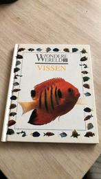 Ling - Wondere wereld van de vissen, Boeken, Kinderboeken | Jeugd | onder 10 jaar, Ling, Ophalen of Verzenden, Zo goed als nieuw