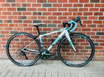 Racefiets Ridley 26inch, Bianchi green/white, 10 tot 15 versnellingen, Heren, Zo goed als nieuw, Ophalen