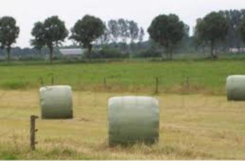 Top Hooi speciaal voor Paarden Pony's, Dieren en Toebehoren, Paarden, Met stamboom, Gechipt, Ontwormd, Ingeënt