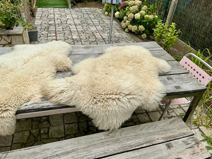 2 echte schapenvellen, Huis en Inrichting, Woonaccessoires | Plaids en Woondekens, Ophalen