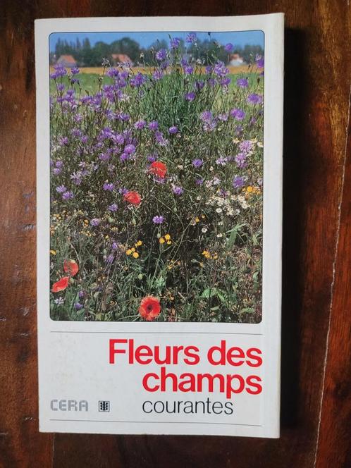 FLEURS DES CHAMPS COURANTES. CERA., Livres, Nature, Comme neuf, Fleurs, Plantes et Arbres, Enlèvement ou Envoi