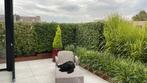 gratis planten, Tuin en Terras, Planten | Tuinplanten, Vaste plant, Halfschaduw, Lente, Ophalen