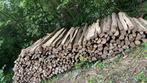 Bois de chauffage hêtre coupe 2024 buche  en 40 ou 60, Enlèvement, Hêtre