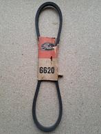 TRABANT P50 - RIEM - NIEUW, Ophalen of Verzenden, Nieuw, Overige automerken