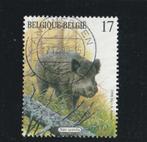 LOSSE  ZEGEL  BELGIE -  Everzwijn, Postzegels en Munten, Postzegels | Thematische zegels, Dier of Natuur, Verzenden, Gestempeld