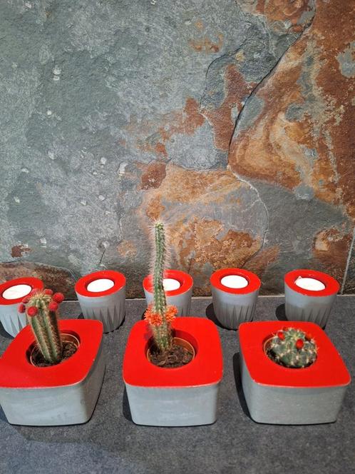 Ensemble décoratif Pied de biche (bougies et pot pour plant, Maison & Meubles, Accessoires pour la Maison | Bougeoirs & Bougies
