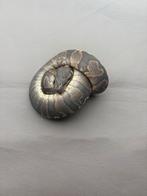 1.0 GHI / Phantom / Black Head, Serpent, Domestique, 0 à 2 ans