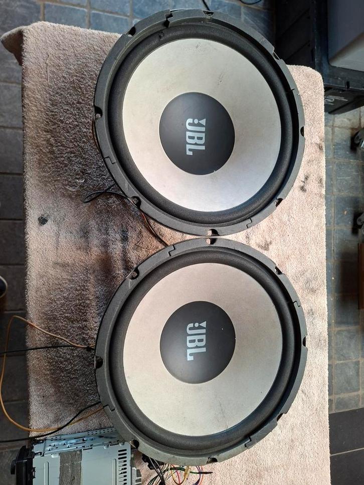 Haut parleur Subwoofer Alpine Magnat Vega, Autos : Divers, Haut-parleurs voiture, Utilisé, Enlèvement