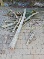 Brandhout notelaar., Tuin en Terras, Ophalen of Verzenden