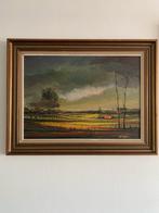 Prachtig landschap schilderij Tuur De Rybel, Ophalen