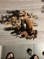 Aquarium bonsai decoratie, Dieren en Toebehoren, Vissen | Aquaria en Toebehoren, Ophalen, Nieuw, Sierelement