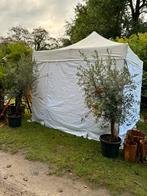Professionele partytent 4x4m van het merk Visix, Tuin en Terras, Partytenten, Ophalen, Gebruikt, Partytent