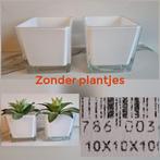 2 potjes voor 5€ zonder decoratie, Tuin en Terras, Bloempotten, Ophalen of Verzenden, Zo goed als nieuw