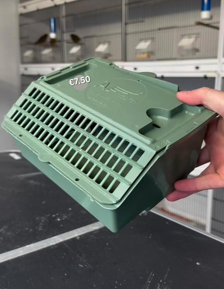 Transport Box - Moldes Ave, Dieren en Toebehoren, Vogels | Hokken en Kooien, Ophalen