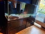 Grand aquarium 1500 litres & poissons, Animaux & Accessoires, Poissons | Aquariums & Accessoires, Enlèvement, Utilisé, Aquarium vide