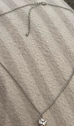 Ketting, Ophalen of Verzenden, Gebruikt