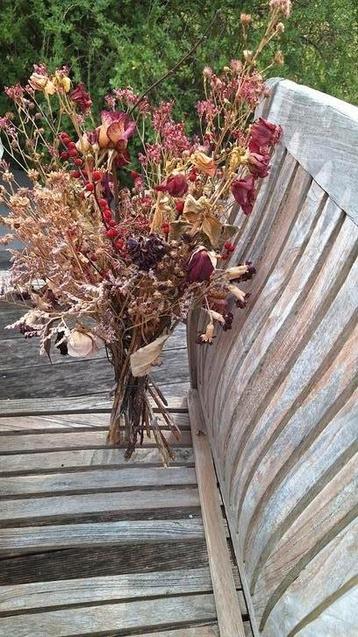 Droogbloemen  beschikbaar voor biedingen