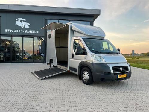Fiat paardencamionette AIRCO 94.336 km paardenwagen, Dieren en Toebehoren, Paarden en Pony's | Trailers en Aanhangwagens, Zo goed als nieuw