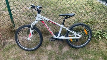 Fiets Specializef kinderen beschikbaar voor biedingen