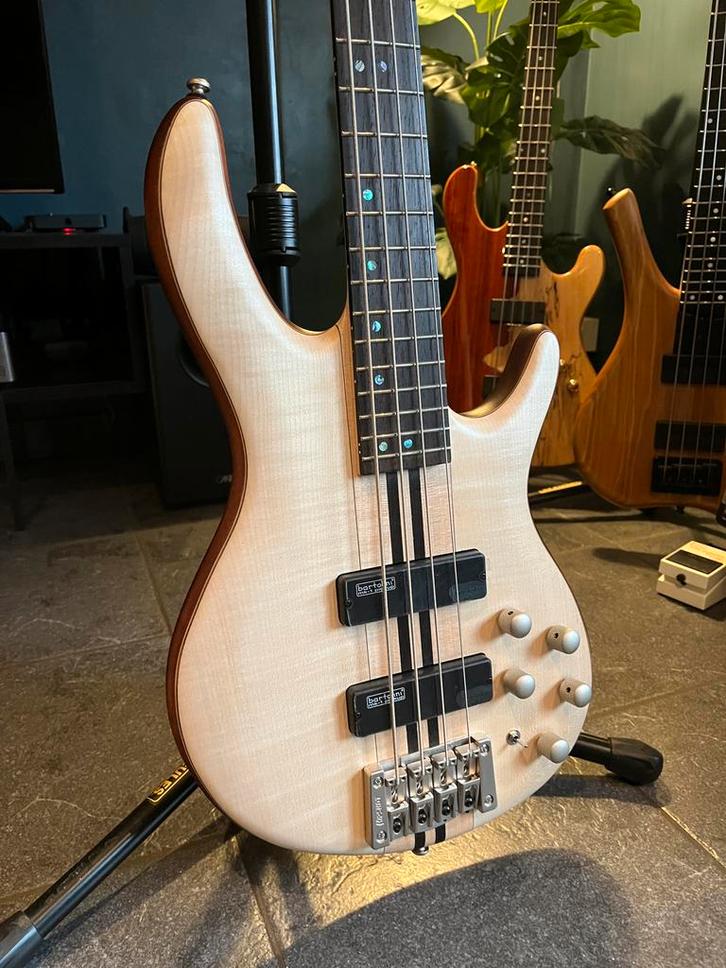 Nieuwe Neck through Cort A4 plus fmhh, Musique & Instruments, Instruments à corde | Guitares | Basses, Comme neuf, Envoi