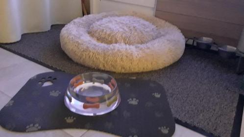 Lot pour chiens, Dieren en Toebehoren, Honden-accessoires, Nieuw, Ophalen
