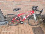marlin race 24inch, Ophalen, Gebruikt