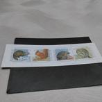 BELGIE Boekje 23 gestempeld cote 6,00 €, Ophalen of Verzenden, Gestempeld