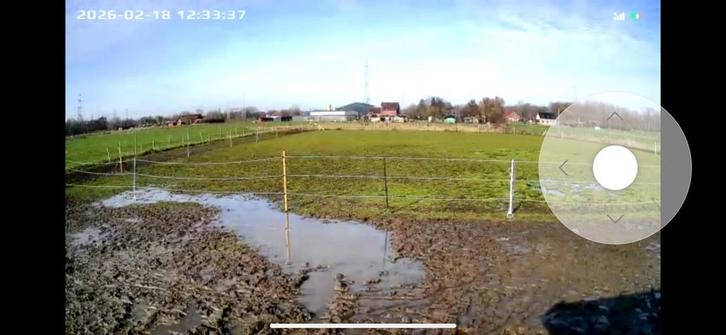 Weide en stal, Verzamelen, Foto's en Prenten, Zo goed als nieuw, Ophalen of Verzenden