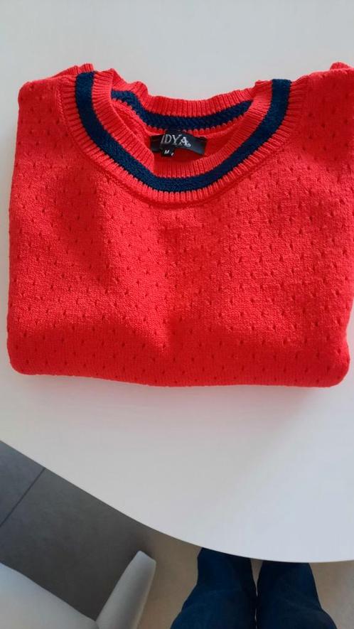 NIEUWE PULL MAAT 40/42, Kleding | Dames, Truien en Vesten, Zo goed als nieuw, Maat 38/40 (M), Ophalen of Verzenden