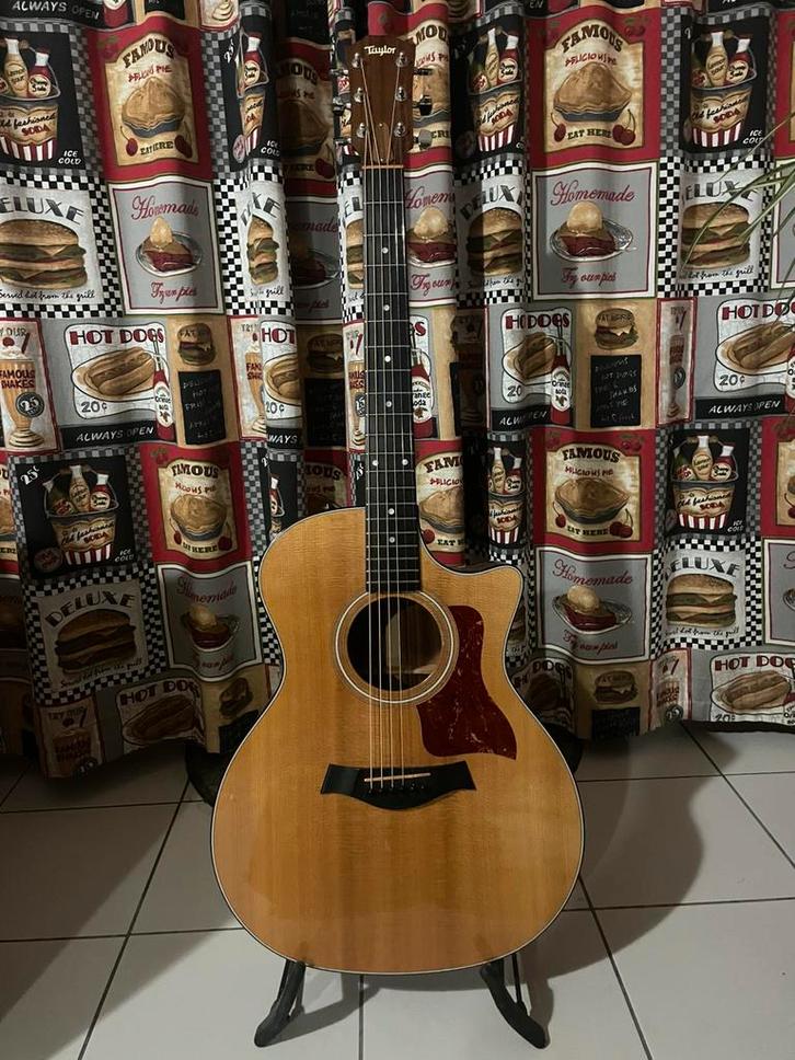 Taylor 314 CE, Muziek en Instrumenten, Snaarinstrumenten | Gitaren | Akoestisch, Ophalen