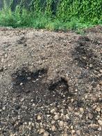 Gratis paardenmest en compost, Tuin en Terras, Ophalen, Mest