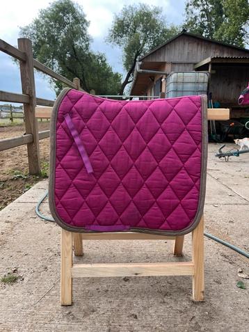 Br fusia dull dressuur beschikbaar voor biedingen