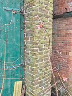 Oude handvorm baksteen, Bricolage & Construction, Briques, Enlèvement, Utilisé, Pierres naturelles
