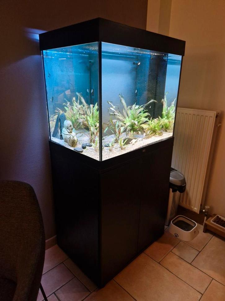Juwel Lido 200, Dieren en Toebehoren, Vissen | Aquaria en Toebehoren, Zo goed als nieuw, Gevuld zoetwateraquarium, Ophalen