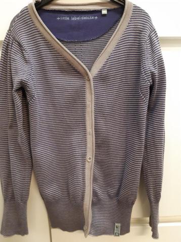 gilet, petite étiquette, 9 ans, Enlèvement ou Envoi, Comme neuf, Fille, Pull ou Veste
