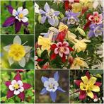 AV. DIVERS VARIETES DE SEMENCES DE FLEURS PAR LE A .B .C, Jardin & Terrasse, Enlèvement ou Envoi