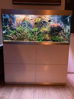 Oase Highline 300 aquarium te koop, Enlèvement, Utilisé, Aquarium d'eau douce rempli