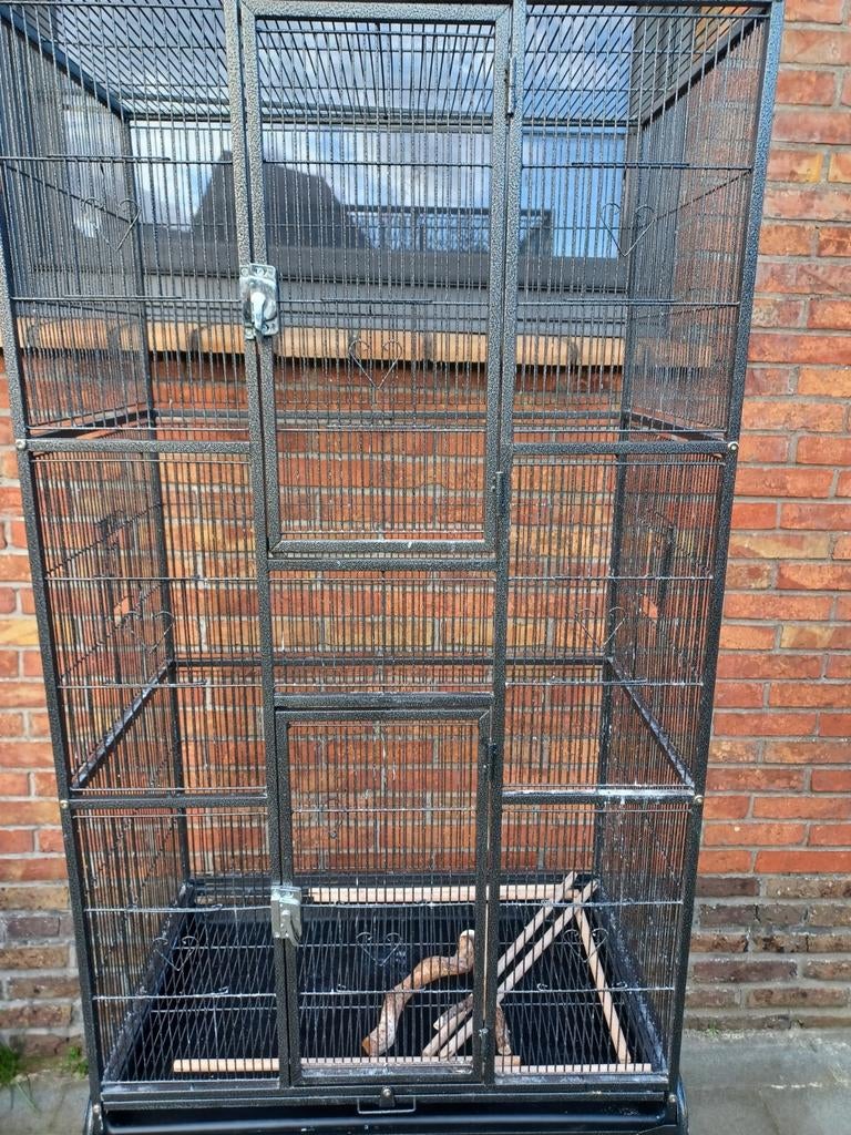 grote vogelkooi, Animaux & Accessoires, Oiseaux | Cages & Volières, Enlèvement, Comme neuf, Métal, Cage à oiseaux