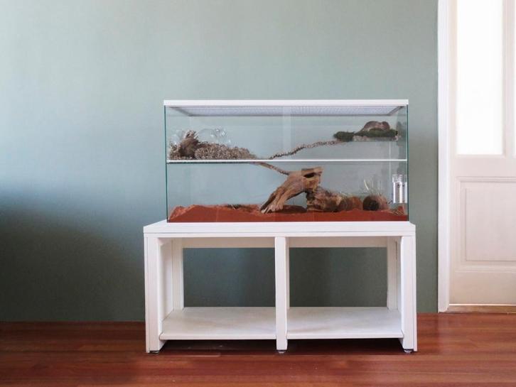 Gerbilarium witte omlijsting voor knaagdieren, Dieren en Toebehoren, Knaagdieren en Konijnen | Hokken en Kooien, Nieuw, Hok, Minder dan 60 cm